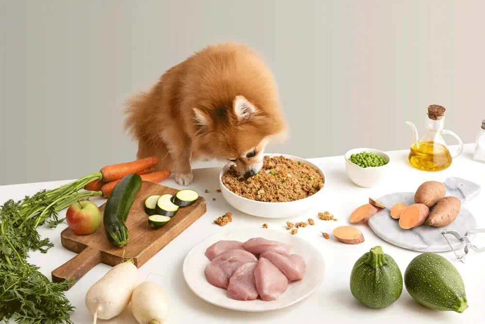Chien devant un repas cuisiné Dogfy Diet