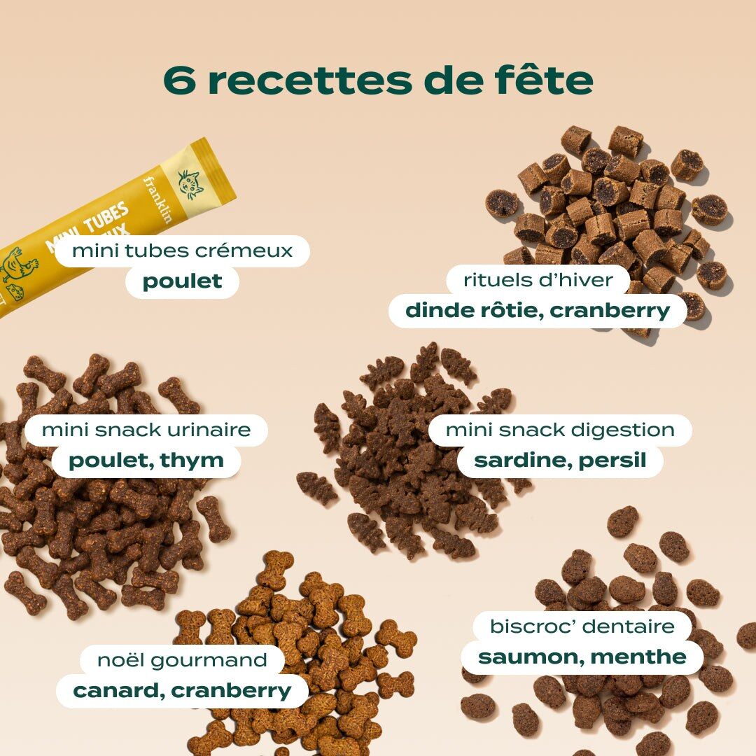 Les six recettes de friandises du calendrier de l’Avent Franklin pour chat