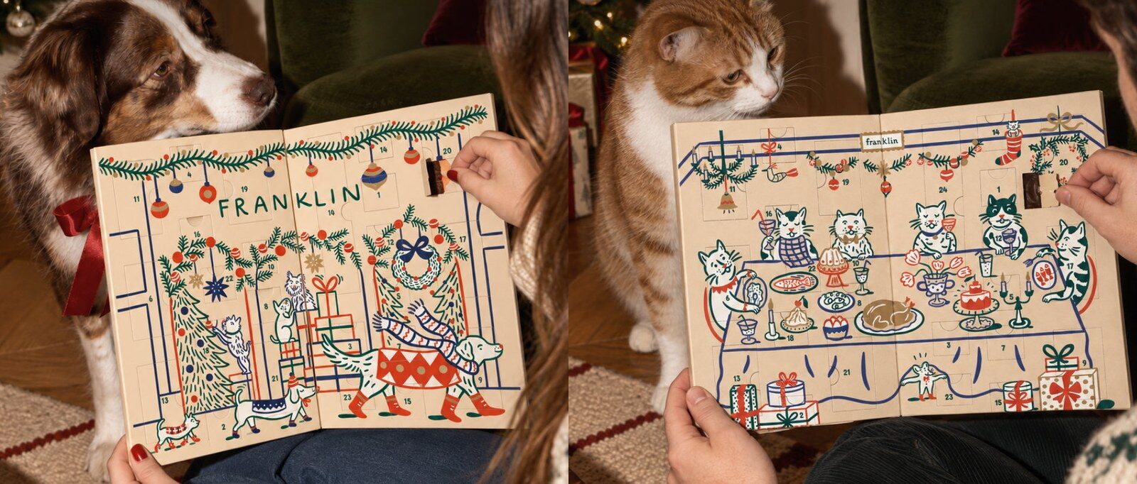 Un chien berger et un chat roux devant les calendriers de l’Avent Franklin 2026 illustrés, tenus ouverts près d’un sapin