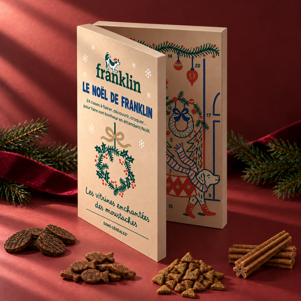 Calendrier de l’Avent Franklin