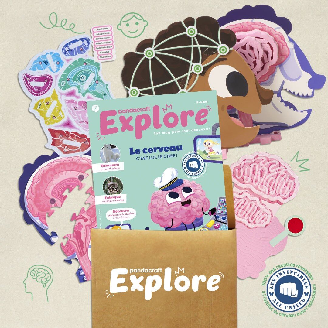 Le kit Explore Le Cerveau de Pandacraft : magazine, tête à assembler, tranches de cerveau et logo des Invincibles