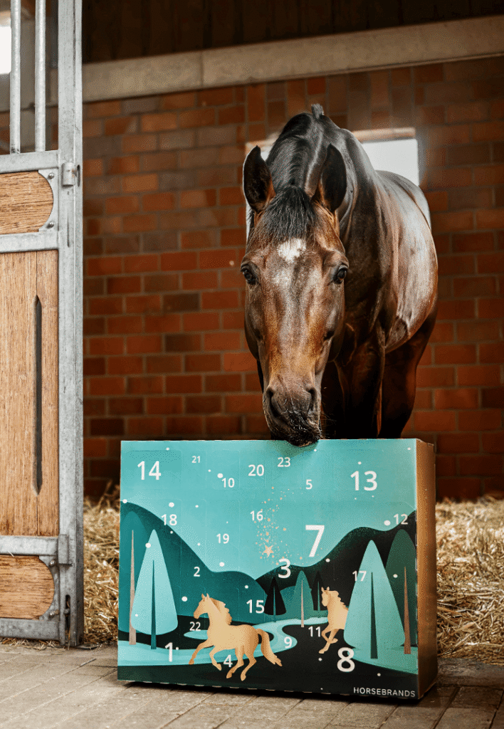 Calendrier de l’Avent Horsebrands